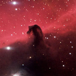 2005-1022horsehead-sm.jpg