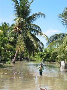 street_flood.JPG